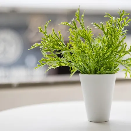 Appartement Home2book Cozy Duplex Steps From The Ocean Corralejo